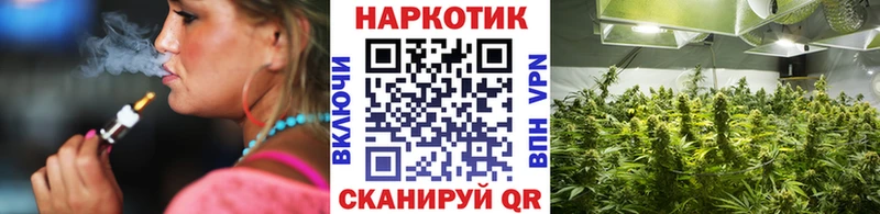 Виды наркотиков купить Сыктывкар ГАШИШ  МАРИХУАНА  A PVP  Меф  Cocaine 