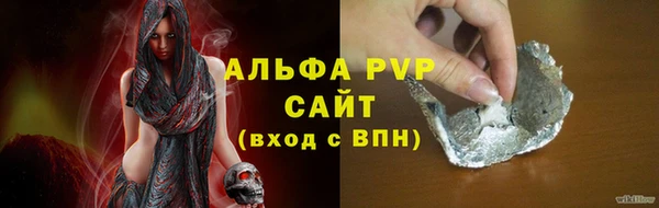 стаф Новозыбков