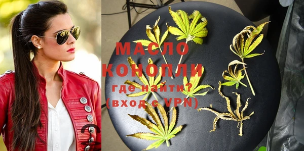 стаф Новозыбков