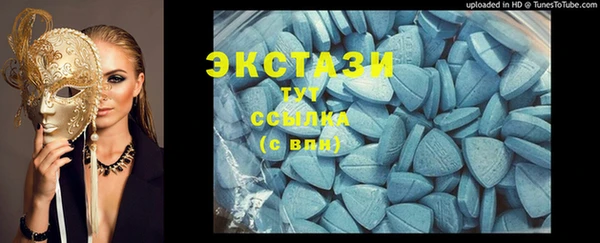 стаф Новозыбков