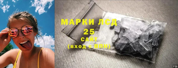 стаф Новозыбков