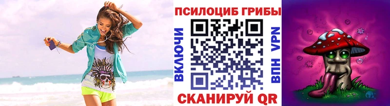 Галлюциногенные грибы Psilocybe  Сыктывкар 