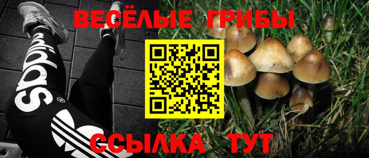 Сыктывкар  Галлюциногенные грибы прущие грибы  Псилоцибиновые грибы прущие грибы  Вход с VPN 
