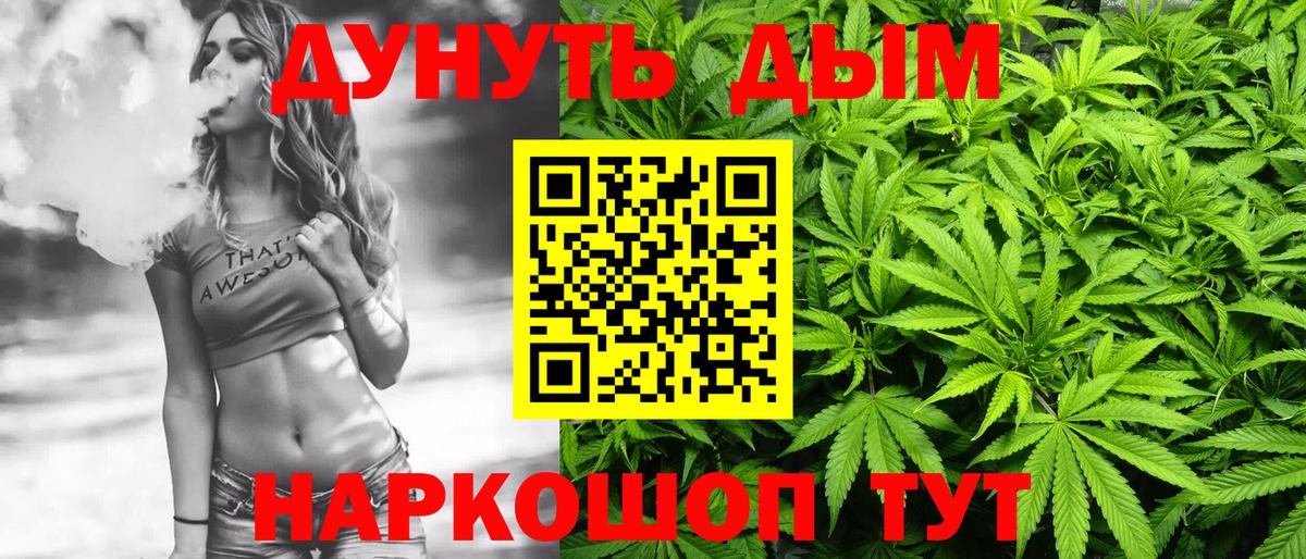 Бошки марихуана сатива Сыктывкар